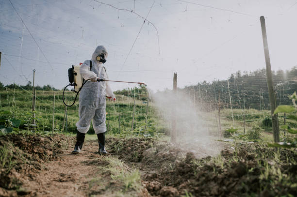 Best Ant Control Services  in Worland, WY