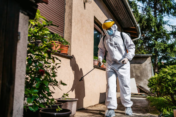 Flea Control Services in Worland, WY