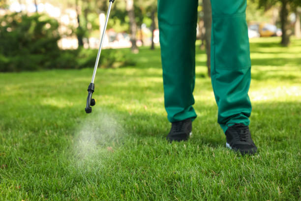 Best Bed Bug Extermination  in Worland, WY