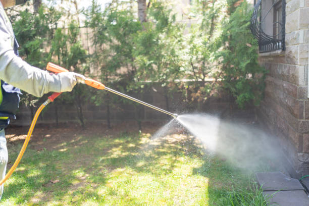 Best Cockroach Control Services  in Worland, WY