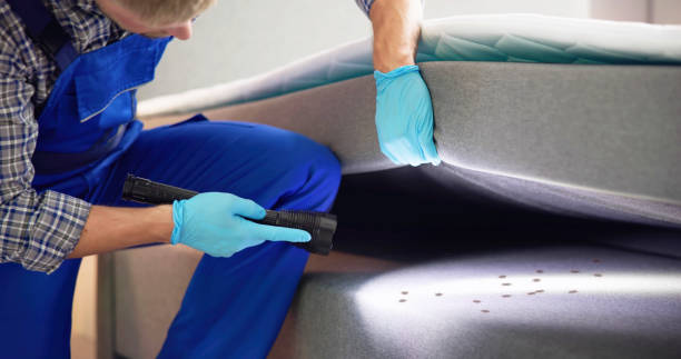 Best Termite Control Services  in Worland, WY
