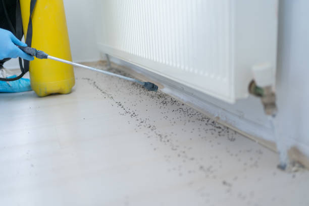  Worland, WY Pest Control Pros