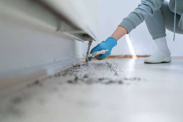 Best Flea Control Services  in Worland, WY